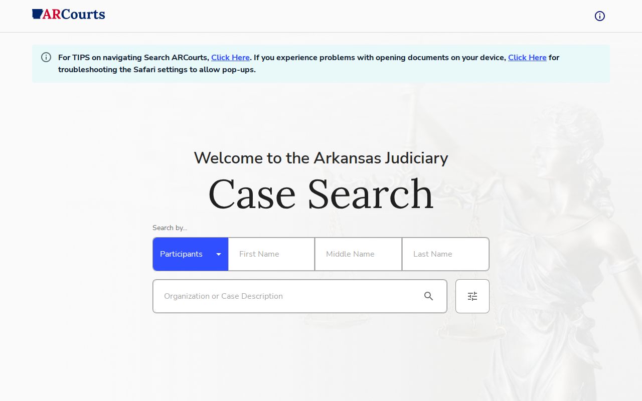 Pope County arrest record and court disposition lookup